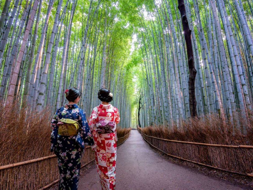 TÜRK HAVA YOLLARI İLE 7 GECE SAKURA ZAMANINDA MASAL ÜLKESİ JAPONYA