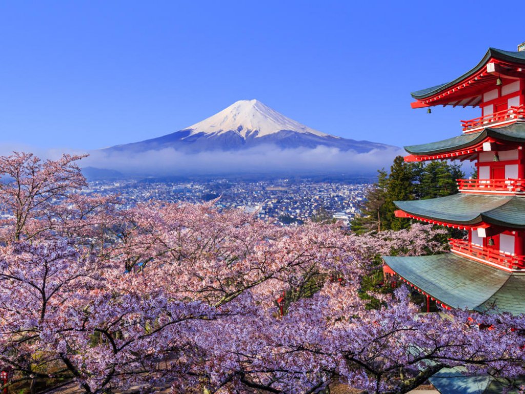 TÜRK HAVA YOLLARI İLE 7 GECE SAKURA ZAMANINDA MASAL ÜLKESİ JAPONYA