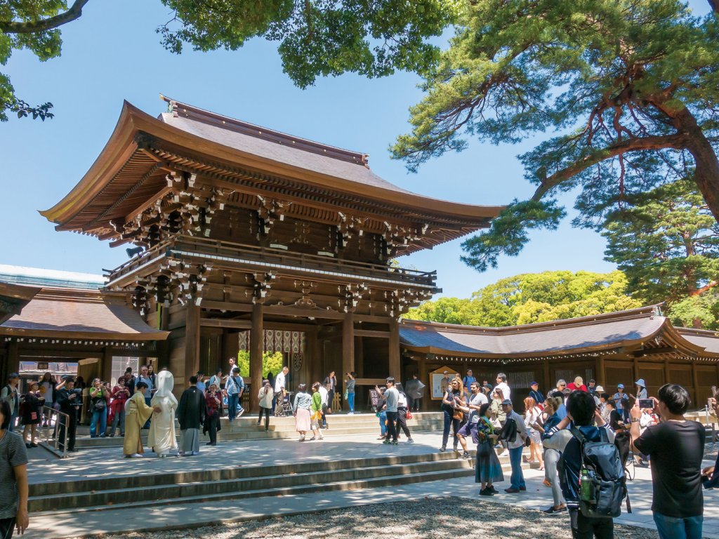 TÜRK HAVA YOLLARI İLE 7 GECE SAKURA ZAMANINDA MASAL ÜLKESİ JAPONYA