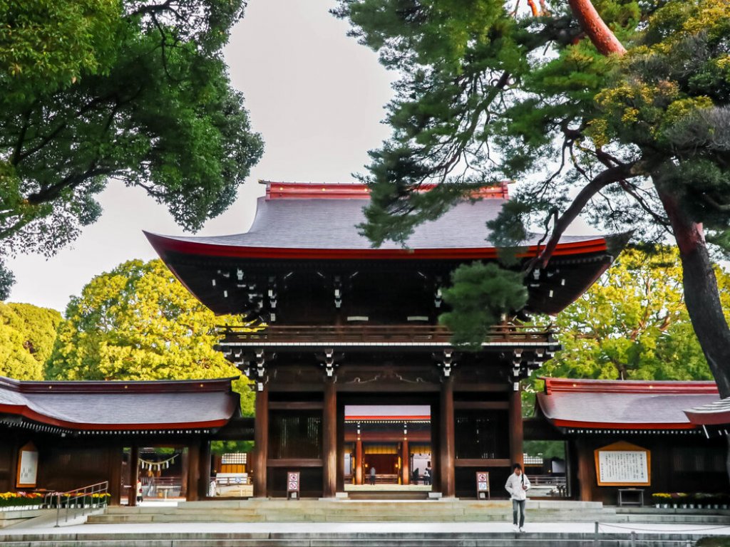 TÜRK HAVA YOLLARI İLE 7 GECE SAKURA ZAMANINDA MASAL ÜLKESİ JAPONYA