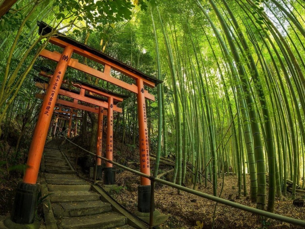 TÜRK HAVA YOLLARI İLE 7 GECE SAKURA ZAMANINDA MASAL ÜLKESİ JAPONYA