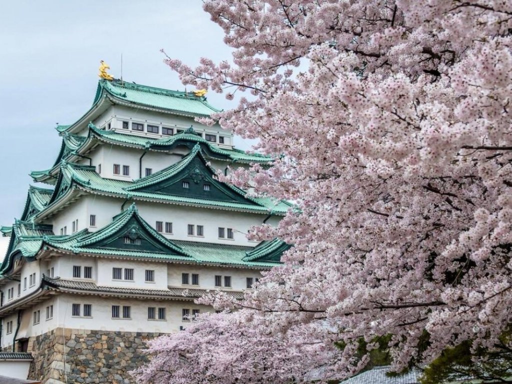 TÜRK HAVA YOLLARI İLE 7 GECE SAKURA ZAMANINDA MASAL ÜLKESİ JAPONYA